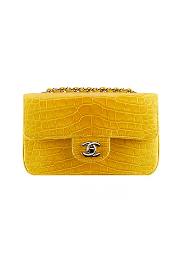 Chanel pre - fall 2013 bag collection - spotted fashion
